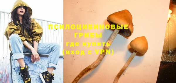 винт Елизово