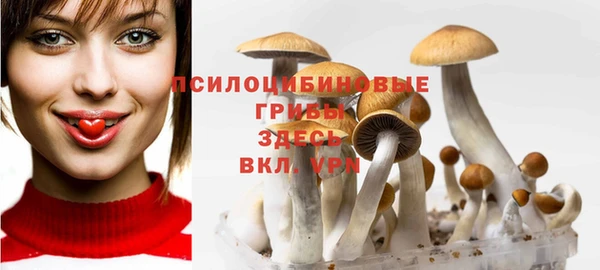 амфетамин Ельня