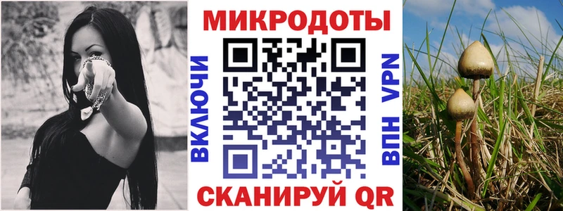 Псилоцибиновые грибы GOLDEN TEACHER  Купить  Инсар 